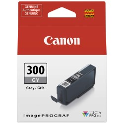 Mực in Phun màu Canon PFI 300PGY Gray Ink Cartridge (4200C001)- Mực màu Bạc - Dùng cho Canon Pixma Pro 300